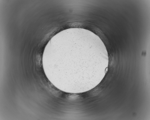 X0000112460669200909281022