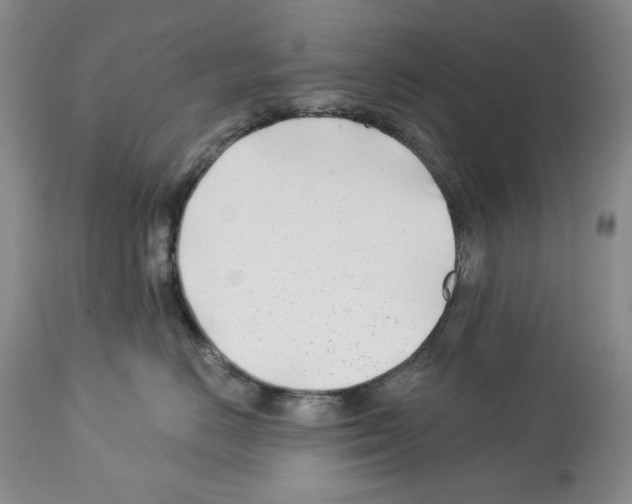 X0000112460670200909281022
