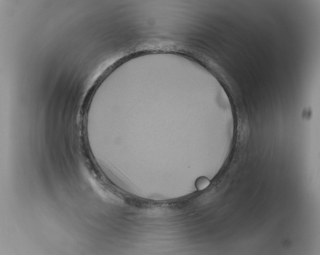 X0000112460674200909281021