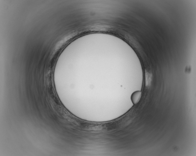 X0000112460675200909281021