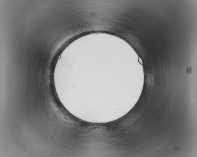 X0000112460676200909281021