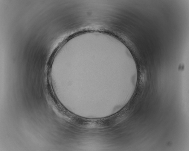X0000112460678200909281021