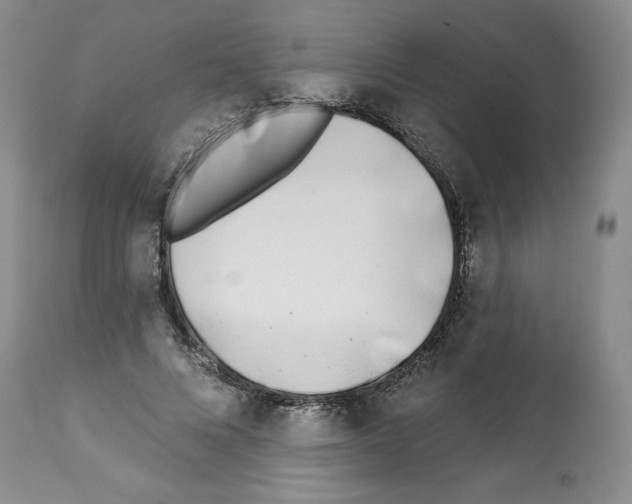 X0000112460688200909281021