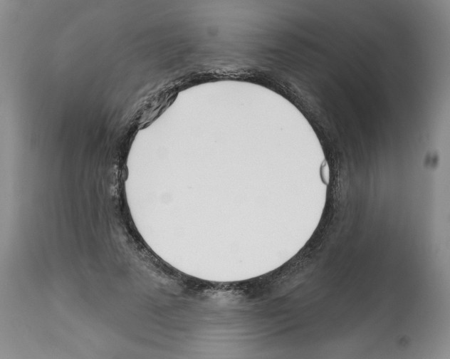 X0000112460689200909281021