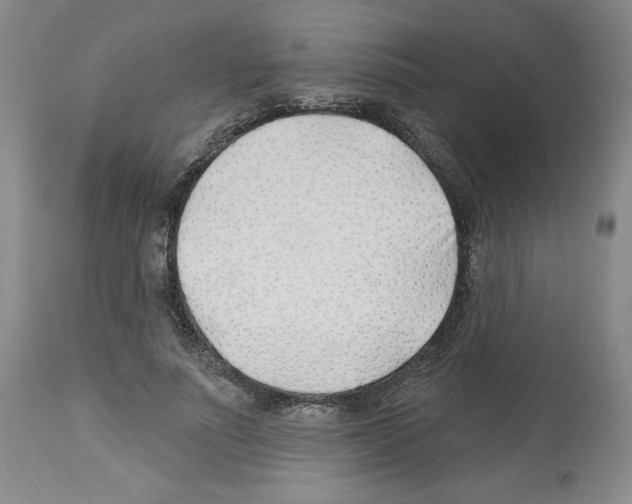 X0000112460691200909281021