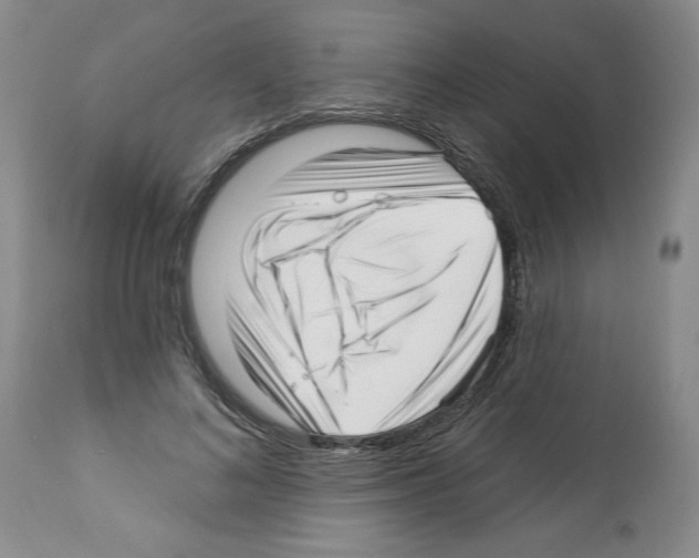 X0000112460692200909281021
