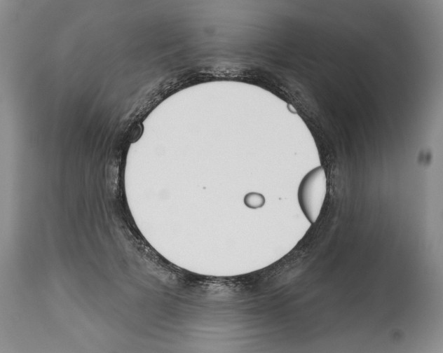 X0000112460697200909281021