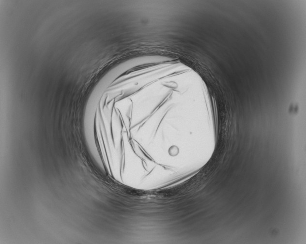 X0000112460700200909281021
