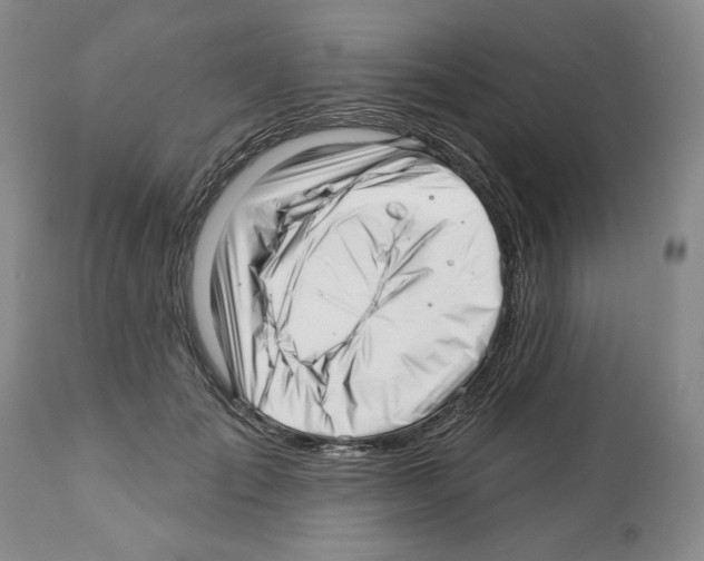 X0000112460701200909281021