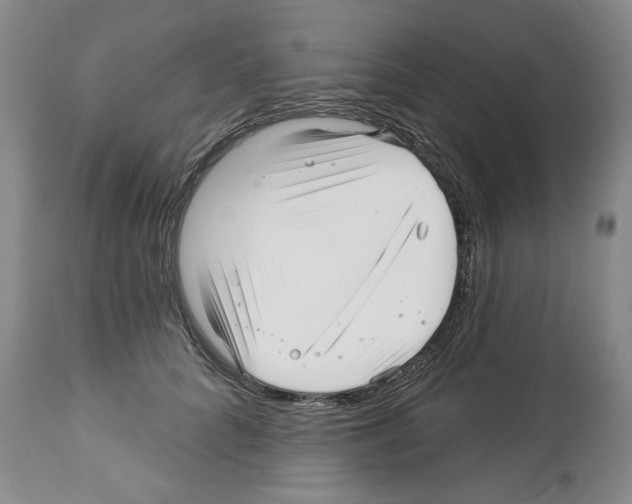 X0000112460704200909281021