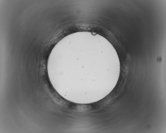 X0000112460707200909281021
