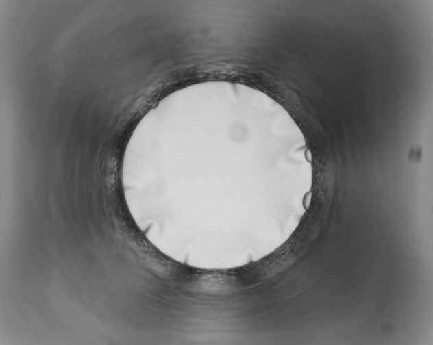 X0000112460708200909281021