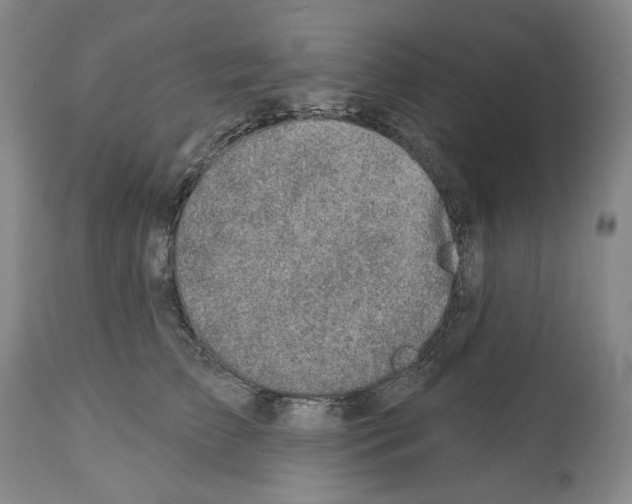 X0000112460709200909281021