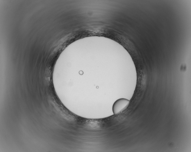 X0000112460710200909281021