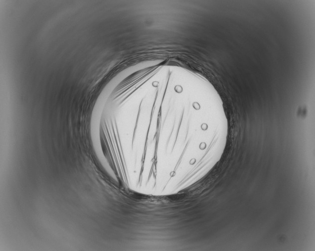 X0000112460712200909281020