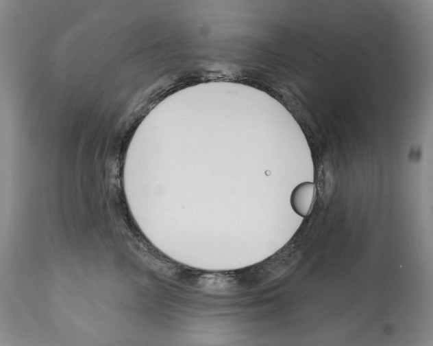 X0000112460714200909281020