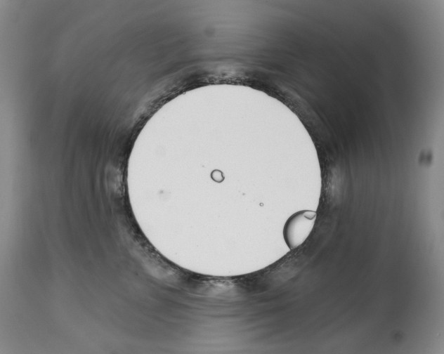 X0000112460715200909281020
