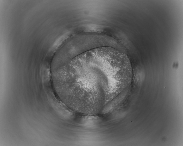 X0000112460716200909281020