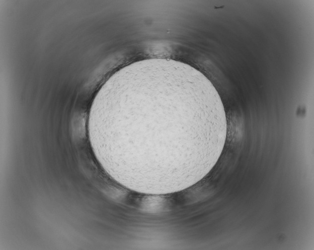 X0000112460717200909281020