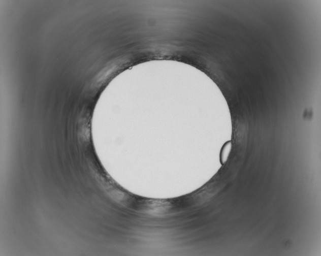 X0000112460719200909281020