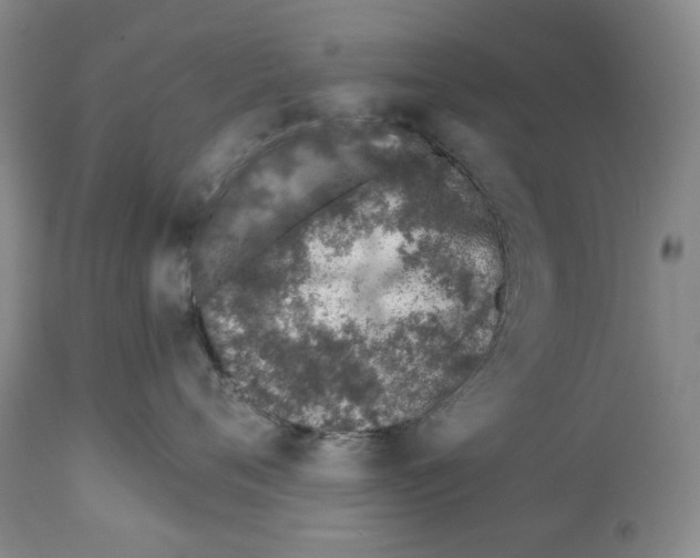 X0000112460720200909281020