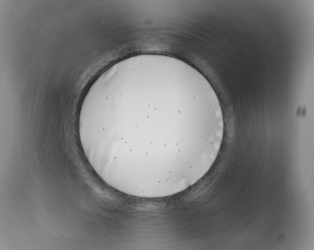 X0000112460721200909281019