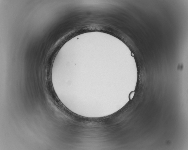 X0000112460722200909281019