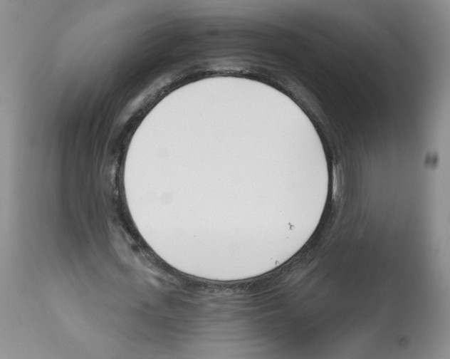 X0000112460723200909281019