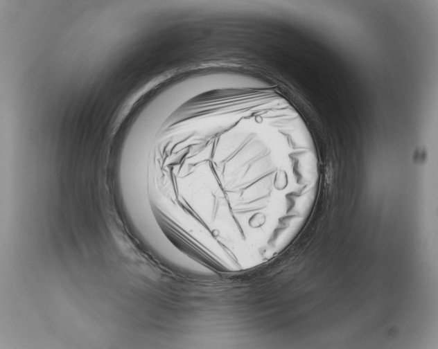 X0000112460724200909281019