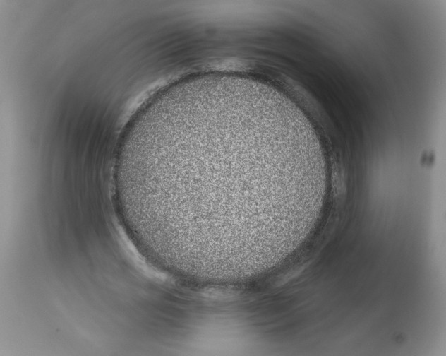 X0000112460725200909281019