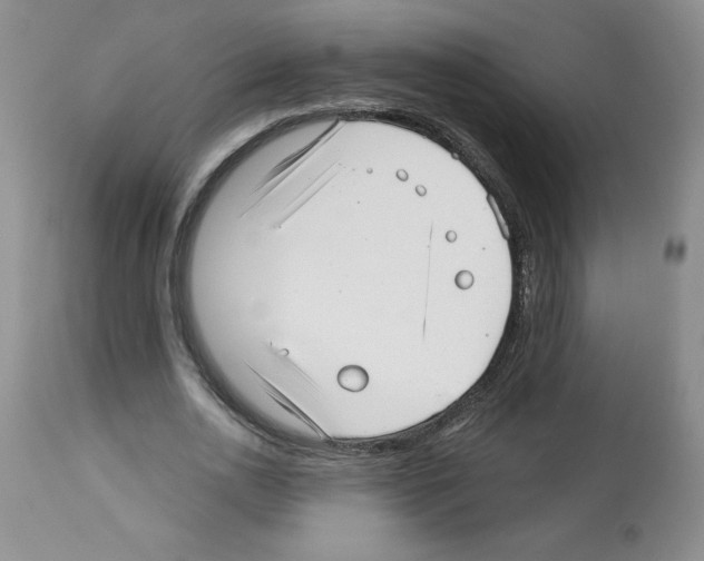 X0000112460726200909281020