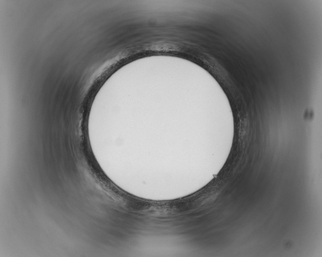 X0000112460727200909281020