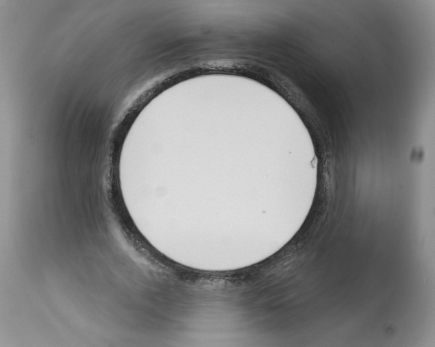 X0000112460728200909281020