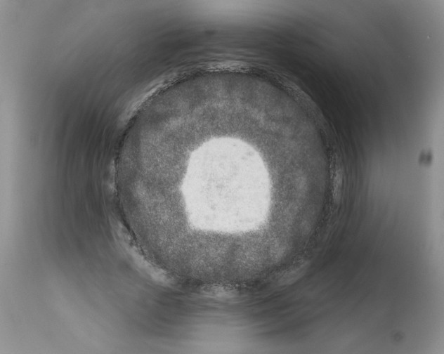 X0000112460729200909281020