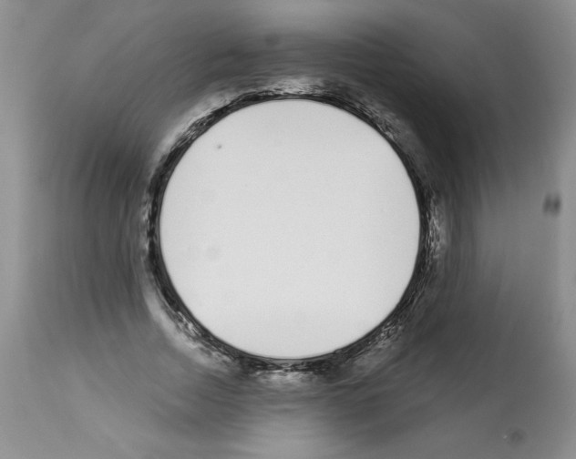 X0000112460730200909281020