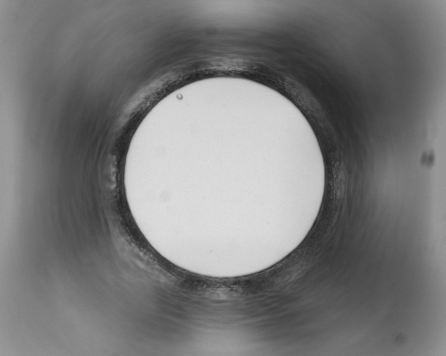 X0000112460731200909281020