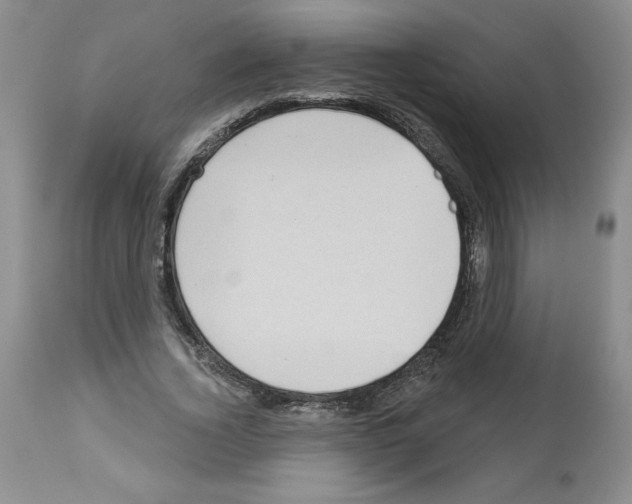X0000112460732200909281020