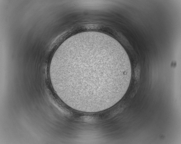 X0000112460733200909281020