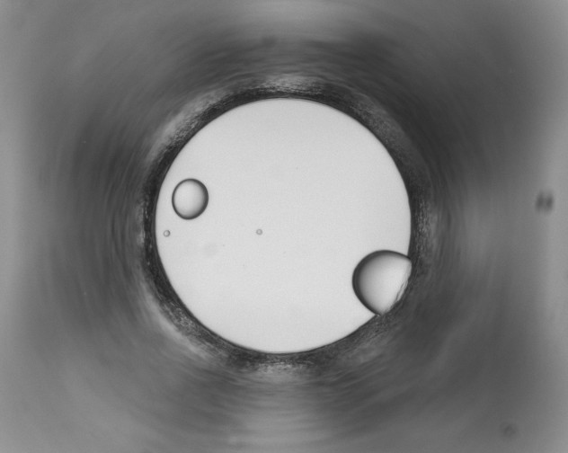 X0000112460734200909281020