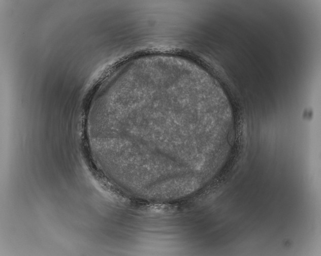X0000112460736200909281020