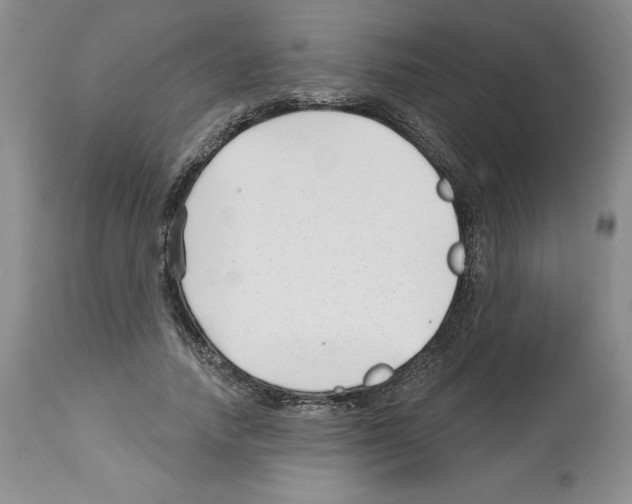 X0000112460738200909281020