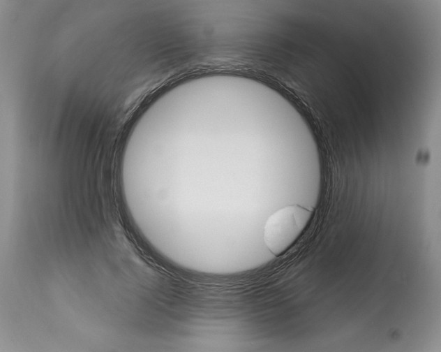 X0000112460740200909281020