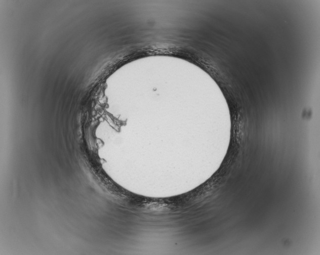 X0000112460742200909281020