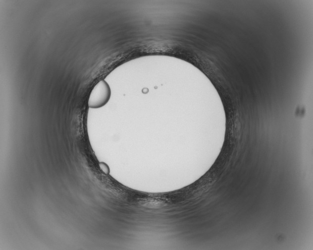 X0000112460743200909281020