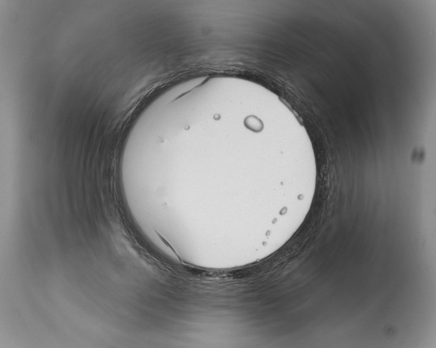 X0000112460744200909281020