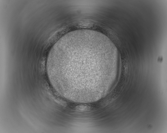 X0000112460745200909281020