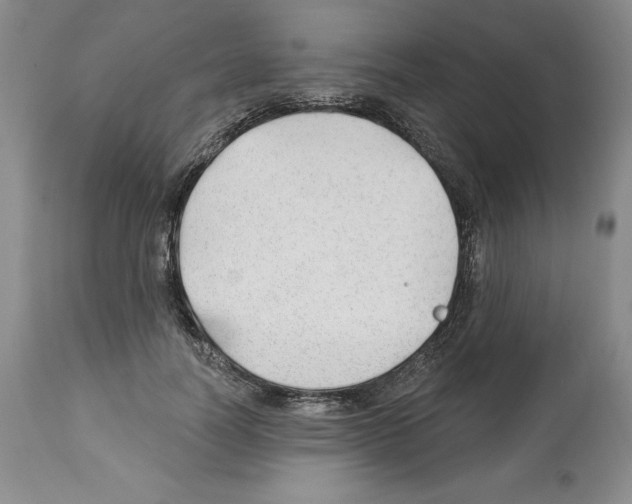 X0000112460746200909281020