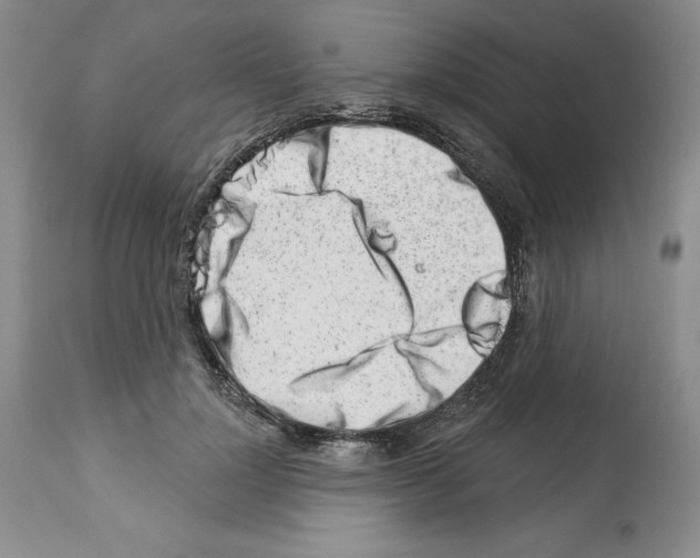 X0000112460748200909281020