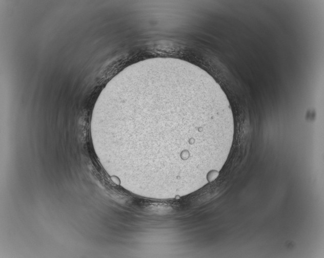 X0000112460749200909281020
