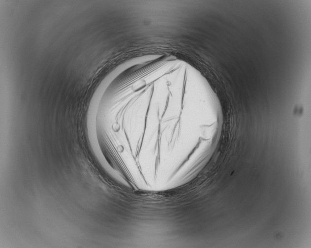 X0000112460750200909281020